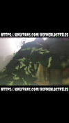Pregled videozapisa