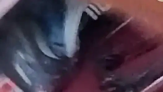 Islak amcığını sikmek için sikimi görünce kontrolünü yitirdi