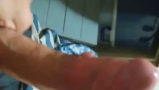 Australia cock