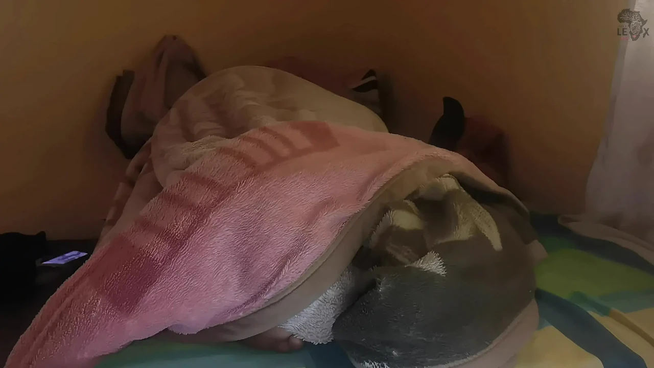 Ukudla kwepipi