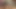 Sıcak iri parça oynuyor onun gf kedi