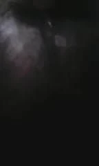 SL pussy