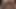 My first anal cumshot