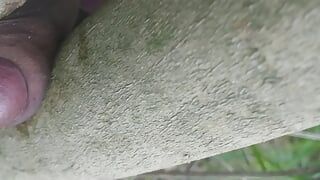 Un célibataire dans une vidéo de sexe dans la forêt