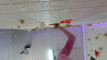 Pratinjau video