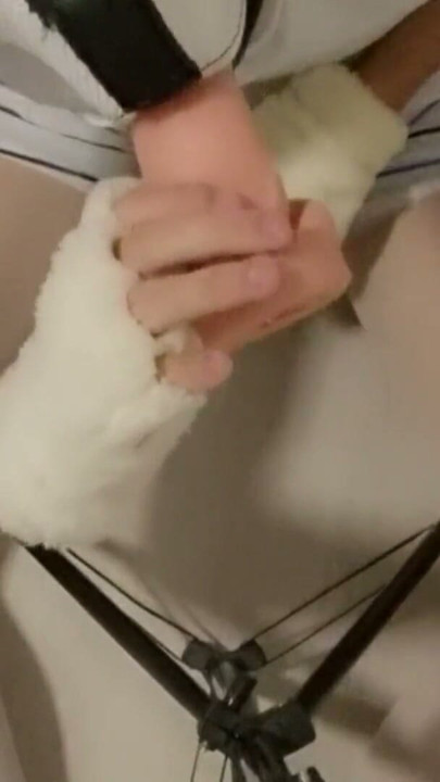 Puppy Sucks Cock | Clip 1