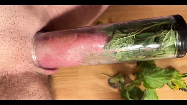 CBT Stinging Nettles Pump Cum