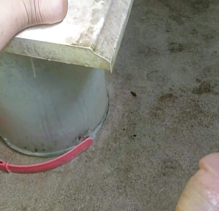 day 1 masturbated