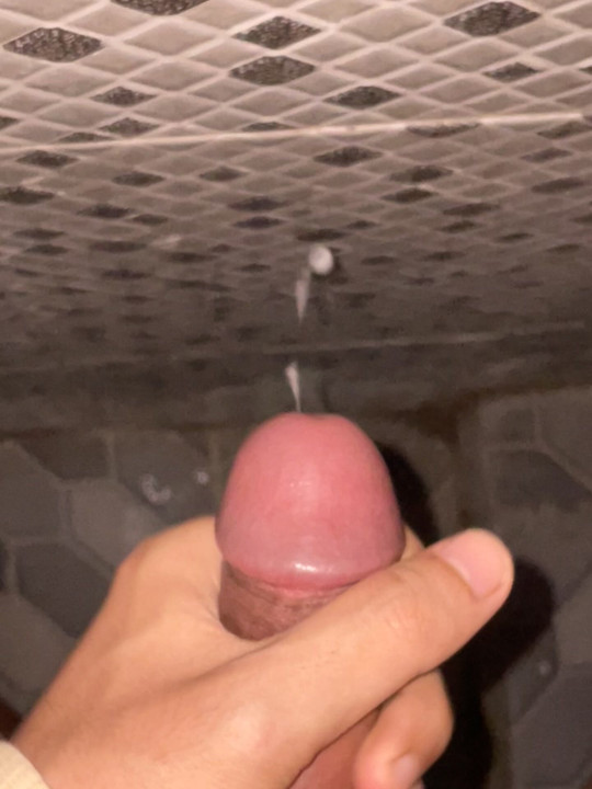Deixe meu leite gozar para você