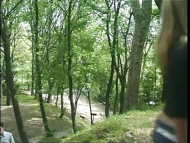 Joven zorra rubia recogida en un parque hace una buena mamada