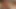 Busty civcivler sarah vandella ve tasha saltanatı paylaşım horoz