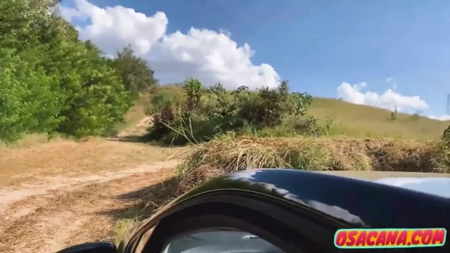 Eating the young girl inside the car in the woods