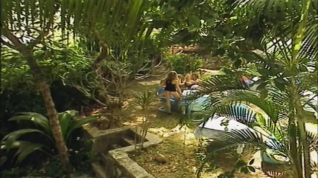 Beauties In Paradise