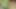 Ashli Orion'un söylediği seksi şeyleri ve bu oral seks videosunda ne yaptığını dinle!