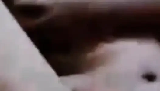 Panggilan video sama istri temen malah telanjang bikin aku masturbasi part2