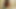 Busty üvey alır kontrol ve yapar dik üvey kız yalamak