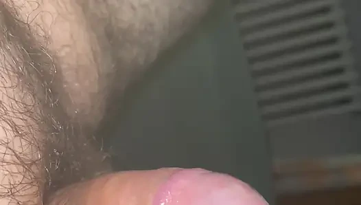 White cock tortured