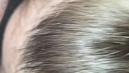 Blasen Liebe Es Den Schwanz in Den Mund Zu Nehmen:)