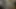 Giyinmiş altında Cocospaima