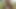 Sissy Stacy arsch zu mund im freien