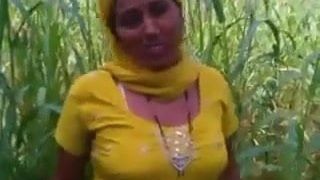 India follada en un campo de maíz
