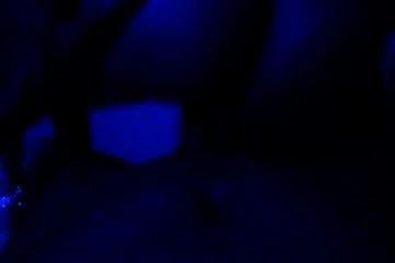 My wife rides me under Bluelight!