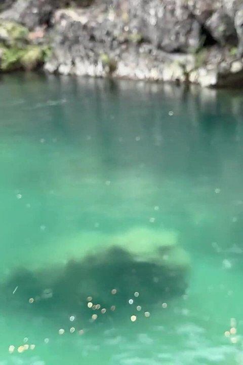 我要在樹林裡和她做愛...我希望沒有人看到我們 Ft. Albx09