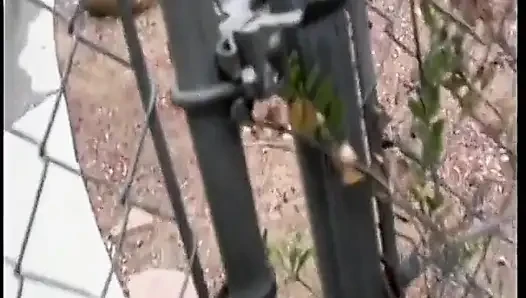 Sevimli esmer kadın sert sikilmeden önce dövmeli adamın yüzüne oturmayı seviyor