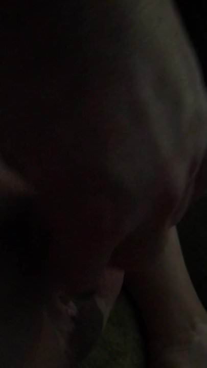 Shaved cock wanking