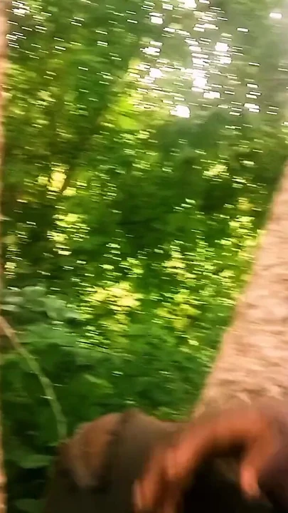 Jaw-dropping moment from "Afternoon sex"