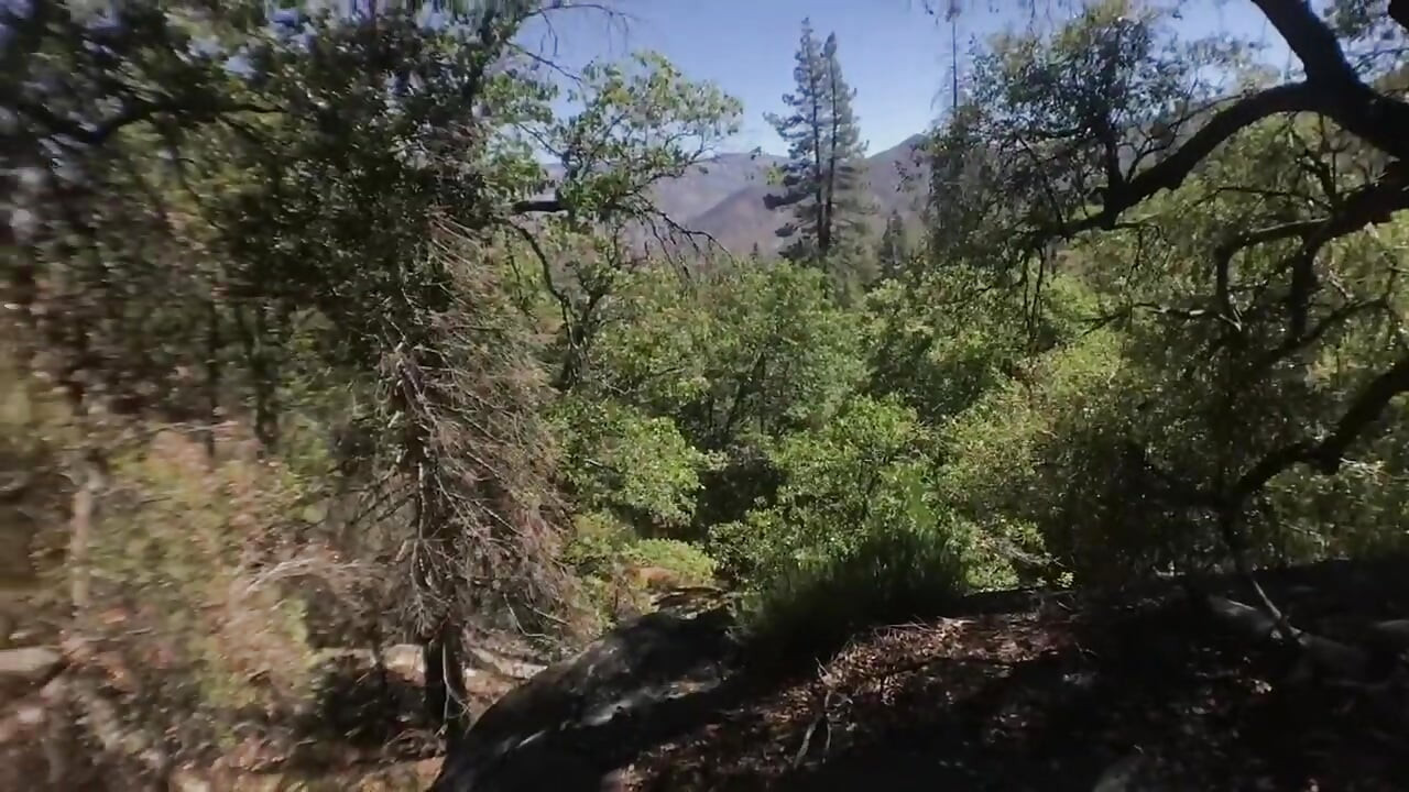 Hot couple ride motorcycle up mountain to fuck!