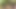 Shower with Pissing in The Forest