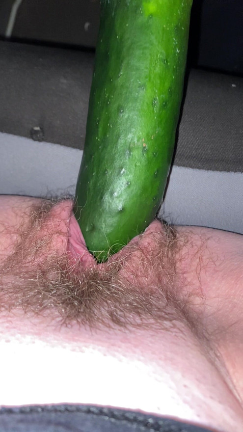 Slave wife fucks a cucumber in my car