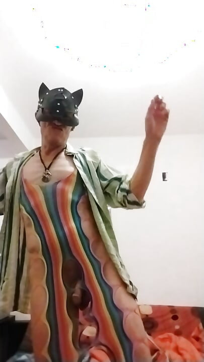 Sexy Rainbow Cat !!