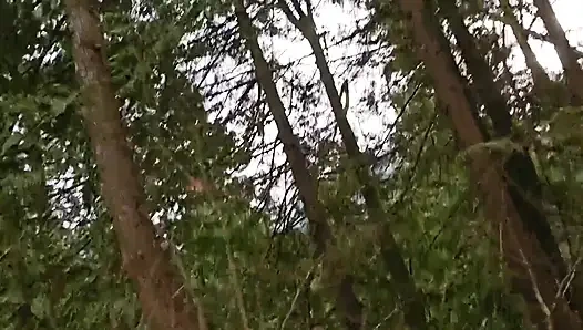 İç Mekanda Çiş, açık Havada Çiş