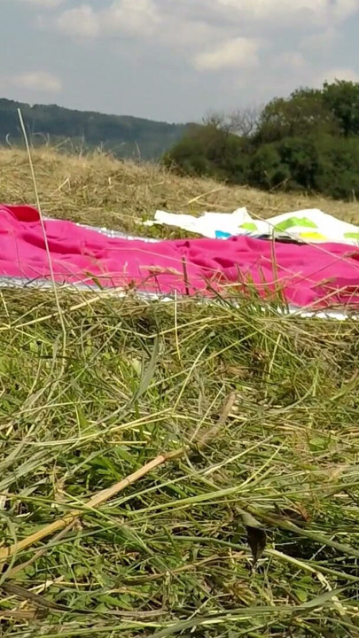 Twister Girls in Wild T-shirts and Thong Lace Panties Outdoors | Clip 1