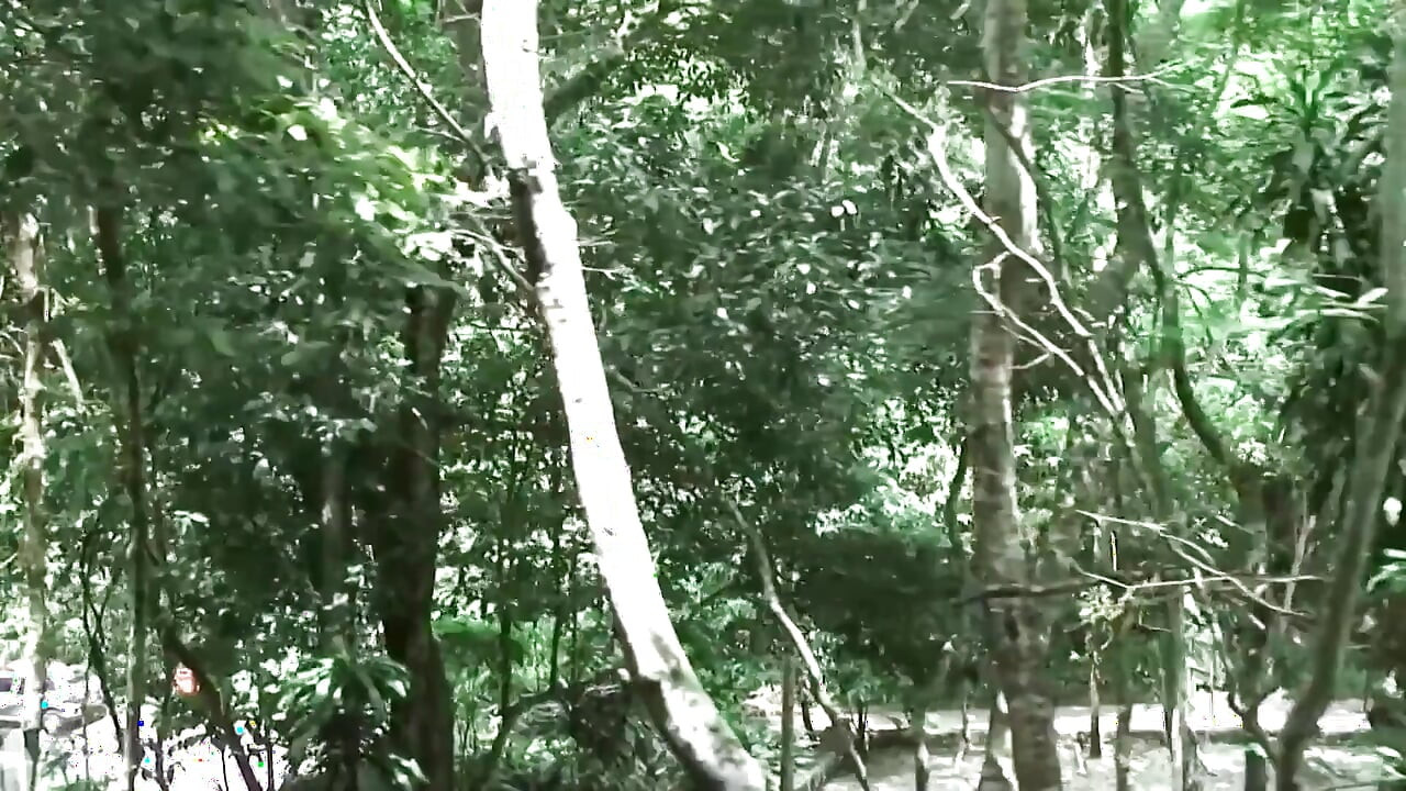 Des Mecs Gays Sexy Caressent Et Sucent Des Sexy