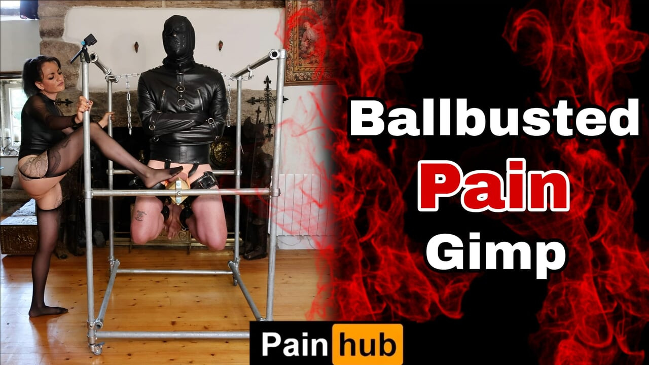 Huấn luyện zero femdom nô lệ ballbusting trừng phạt