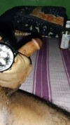 Pregled videozapisa