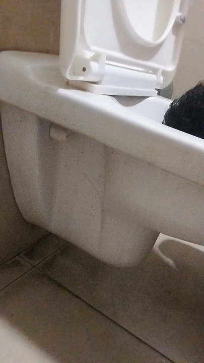 Headmaster Shithin Fag Toilet Headflushjng | Clip 1