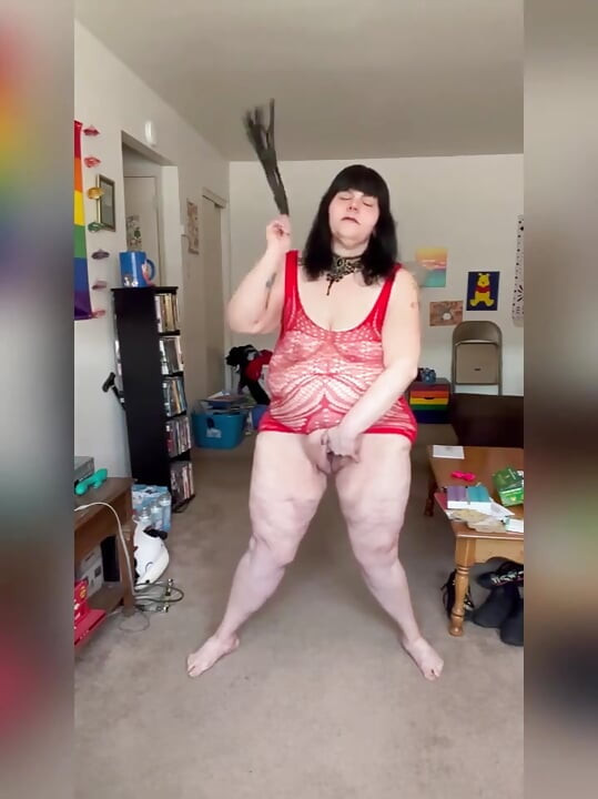 Ненаситна дебела котка