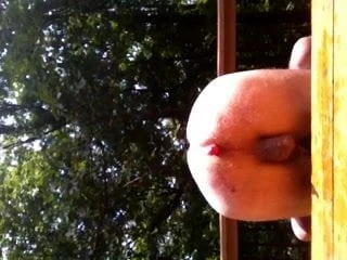 Anal Popsicle