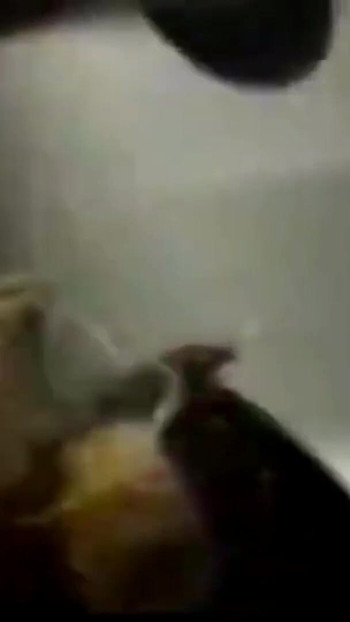 Moment iconic de la "Devinn o fute pe Logan"