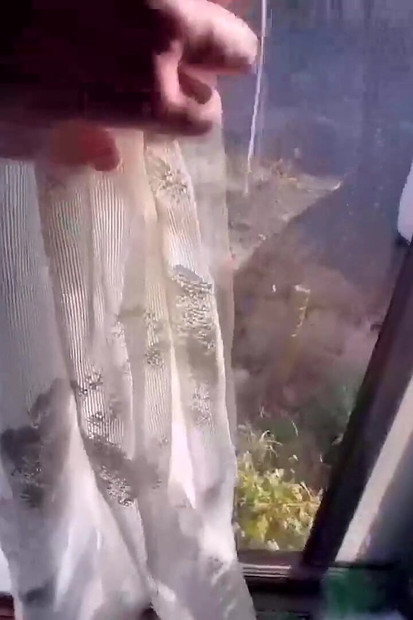 Asyalı çifte dölleme