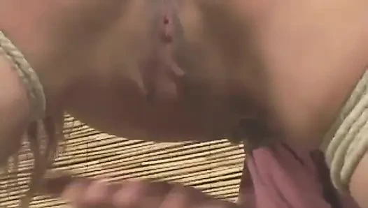 Viking ve Sasha Monet