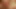 HD-Video 110