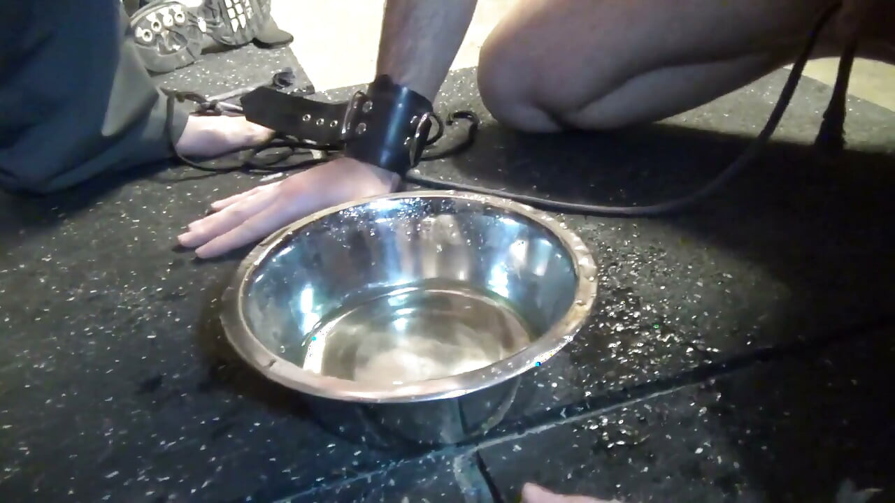 The best slave training in France !!!