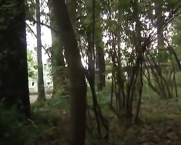 Brunette Chick From Germany Gets Banged in the Woods