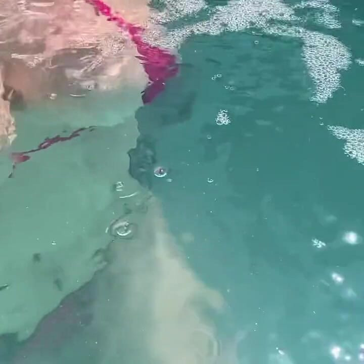 Artemisia Love Showing Her Perfect Tits in a Micro Bikini Underwater