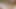 濡れた夢。君のチンコを懇願して